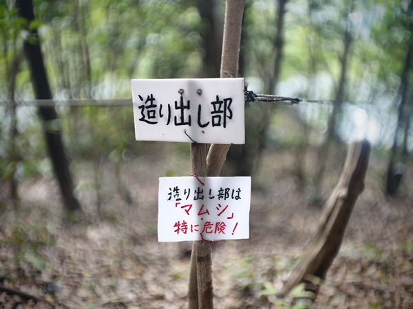 西陵古墳