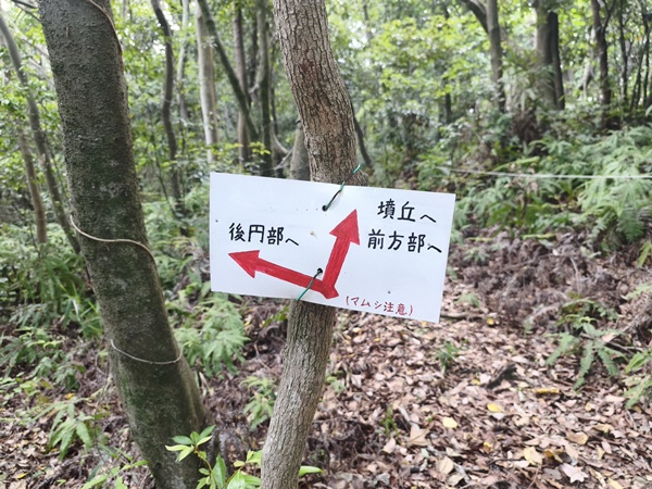 西陵古墳