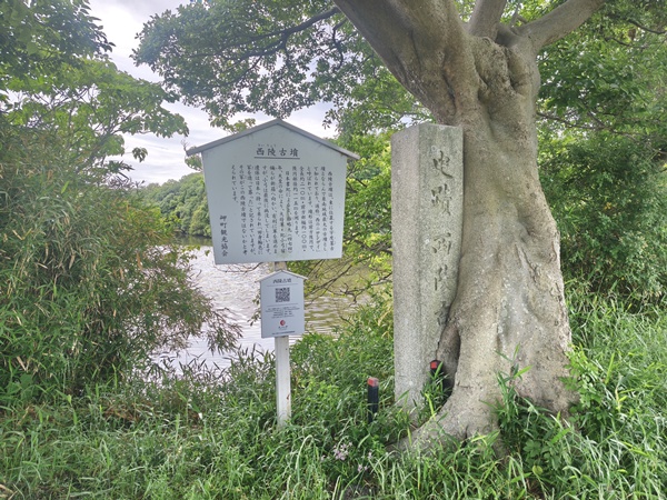 西陵古墳
