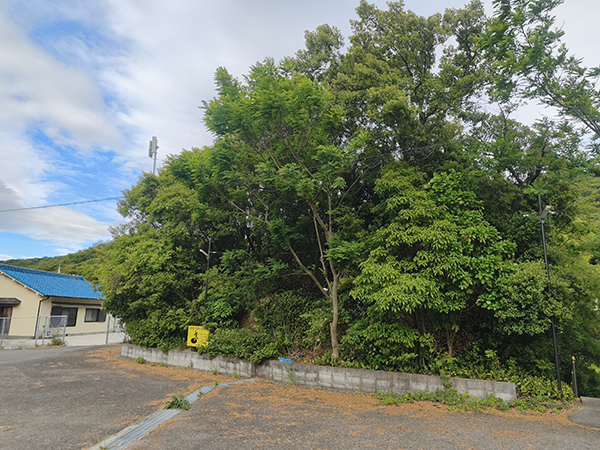 小島古墳