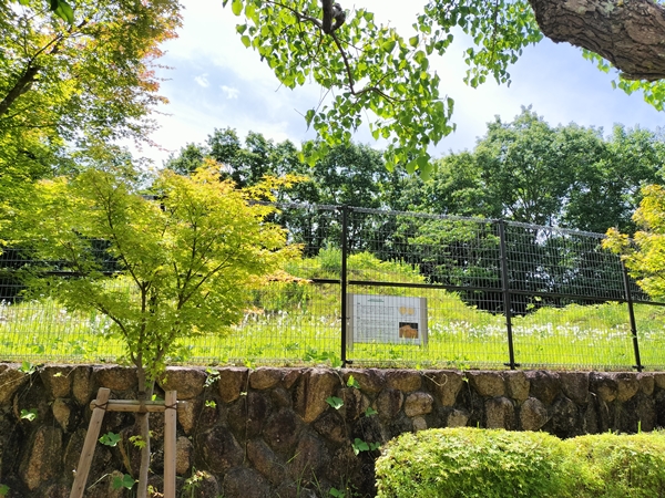 北神第9地点遺跡1・2号墳
