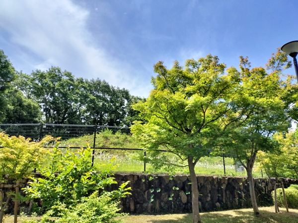 北神第9地点遺跡1・2号墳